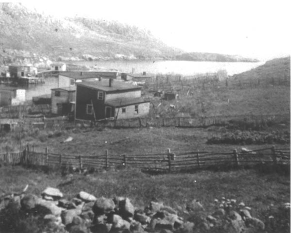 366: Red Island harbour. (1958) [courtesy of Mary Ennis]